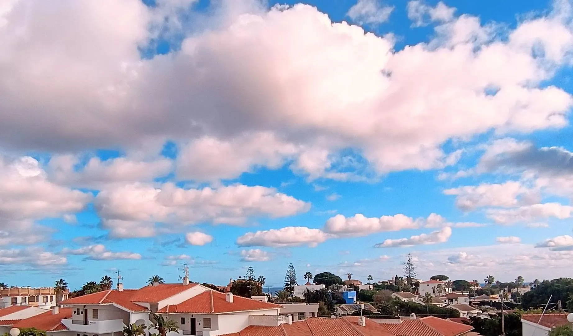 Apartment El Faro Home With A View, Pet Friendly, Wifi, Large Terrace, Sea View